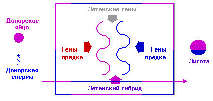соединение